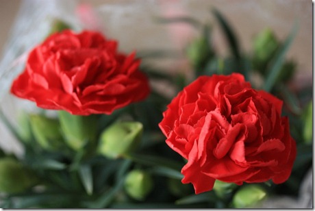 52f154f0eb908514852f82ac4e6d6080_l